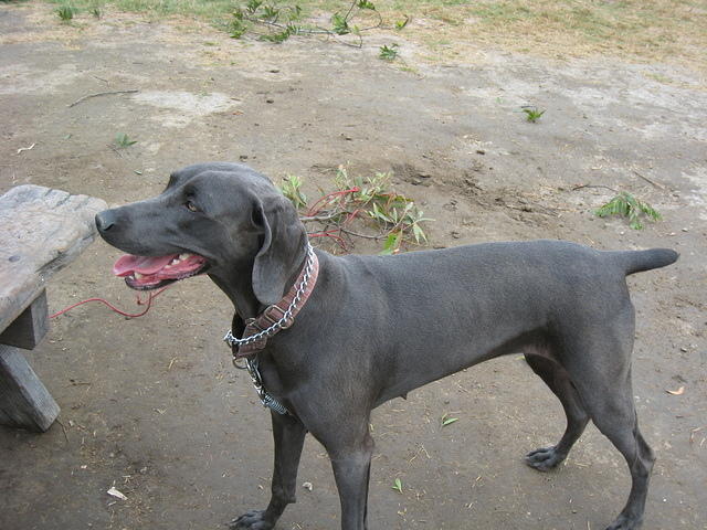 Hannah likes to camp