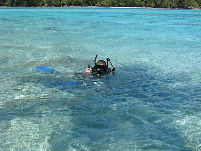 Smile for the underwater camera