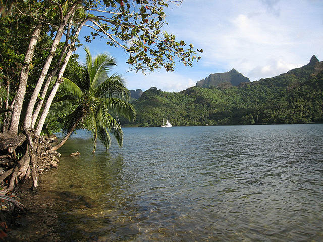 an afternoon snack while enjoying the bay