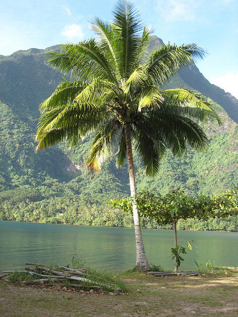 around the island of Moorea