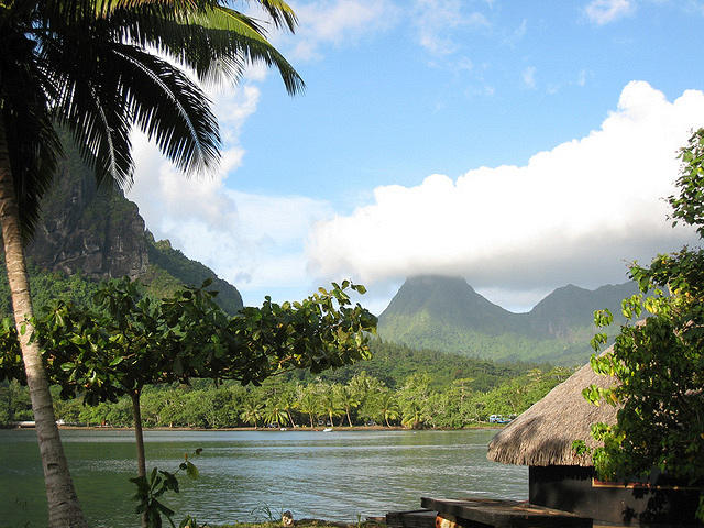 looking out at the bay