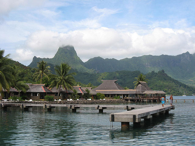 1 dive down.....10 more to go