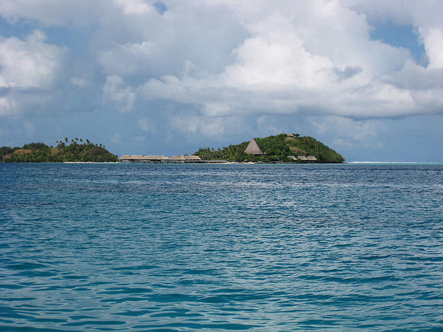 that's our little Motu