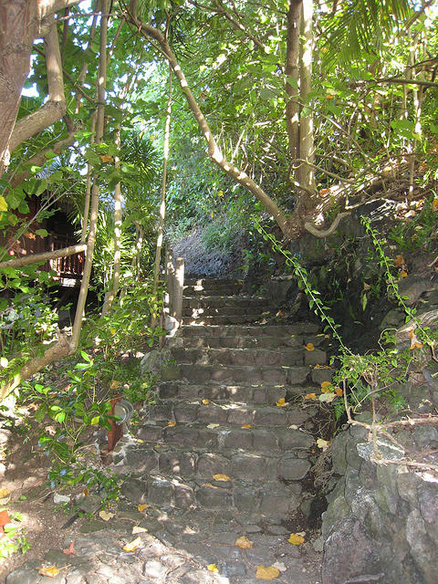 steps up to the top of the Motu at the lookout