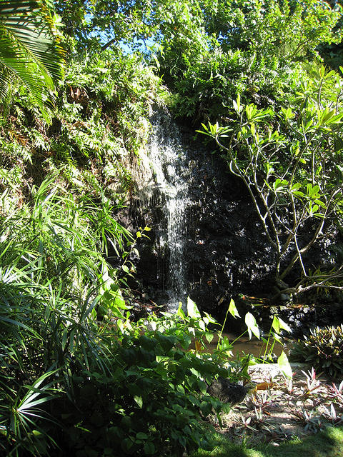 waterfall on the island