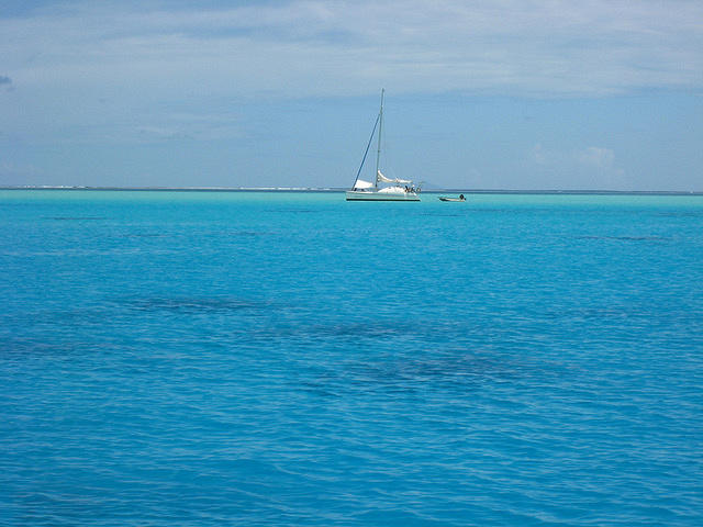 we are going to rent a sailboat and sail around the world