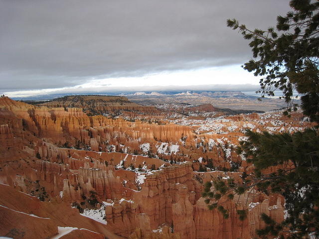 Bryce