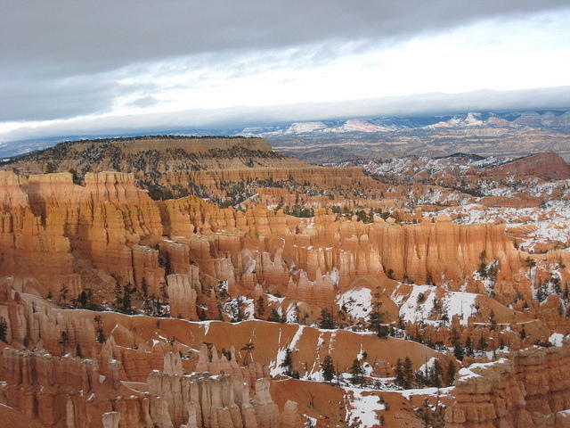 Bryce