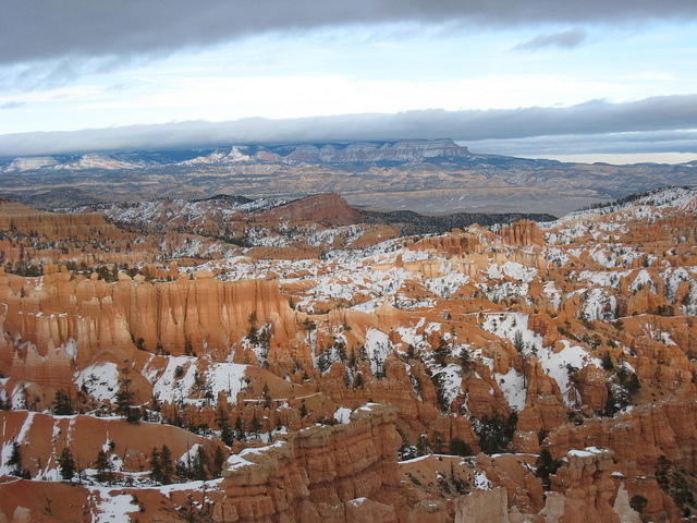 Bryce