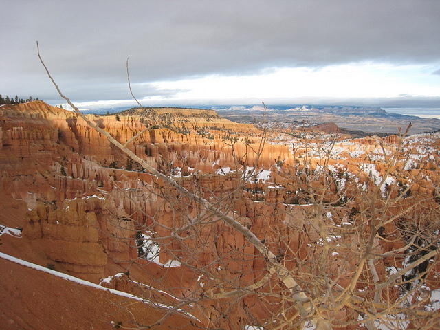 Bryce