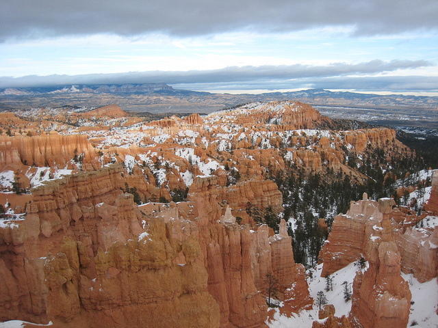 Bryce
