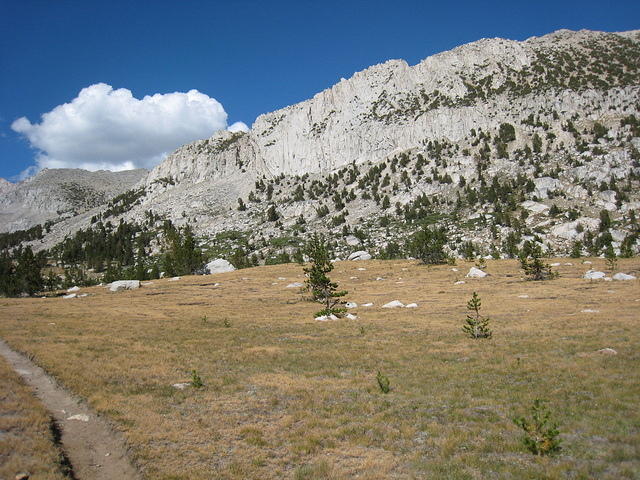 Summer2008 025.jpg