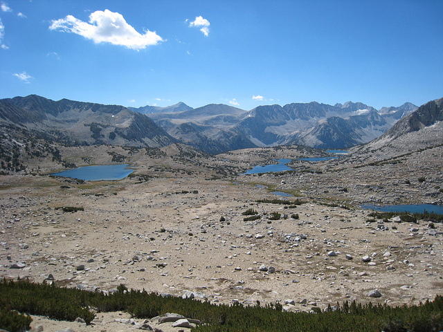 Summer2008 037.jpg