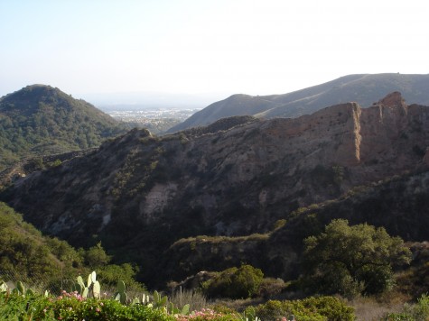 the view from the garden