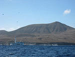 Guadalupe Island - Tuna Fishing