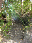 steps up to the top of the Motu at the lookout