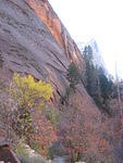 Zion 2008